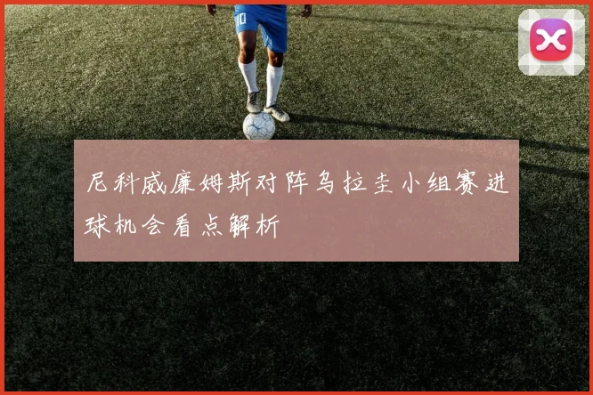 尼科威廉姆斯对阵乌拉圭小组赛进球机会看点解析
