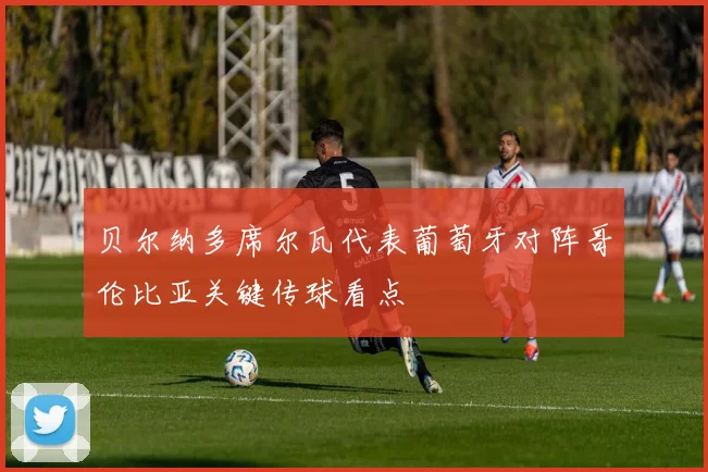 贝尔纳多席尔瓦代表葡萄牙对阵哥伦比亚关键传球看点