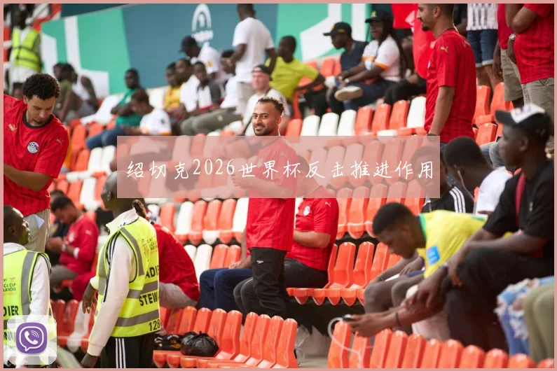 绍切克2026世界杯反击推进作用