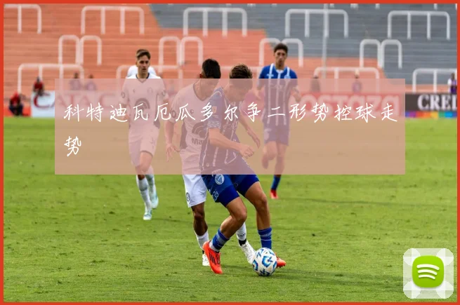 科特迪瓦厄瓜多尔争二形势控球走势