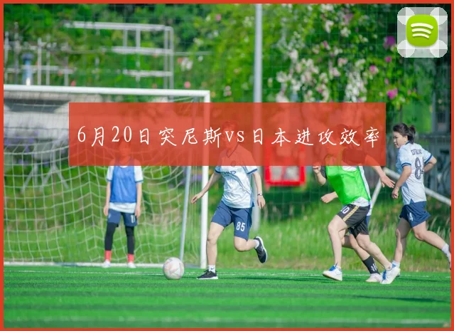 6月20日突尼斯vs日本进攻效率