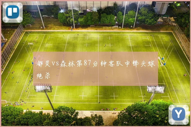 都灵vs森林第87分钟客队中锋头球绝杀