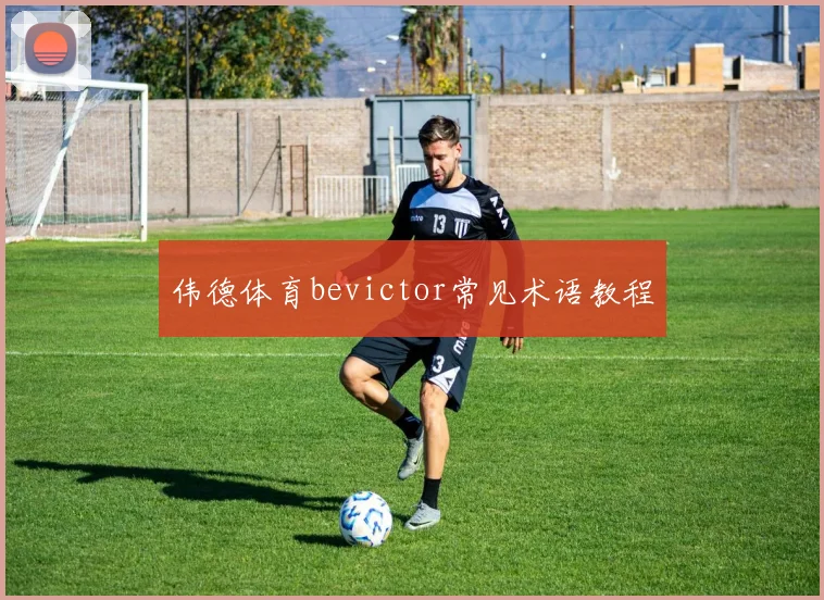 伟德体育bevictor常见术语教程