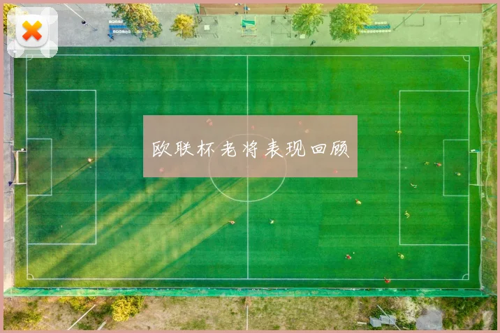 欧联杯老将表现回顾