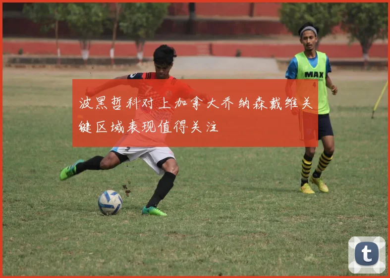 波黑哲科对上加拿大乔纳森戴维关键区域表现值得关注