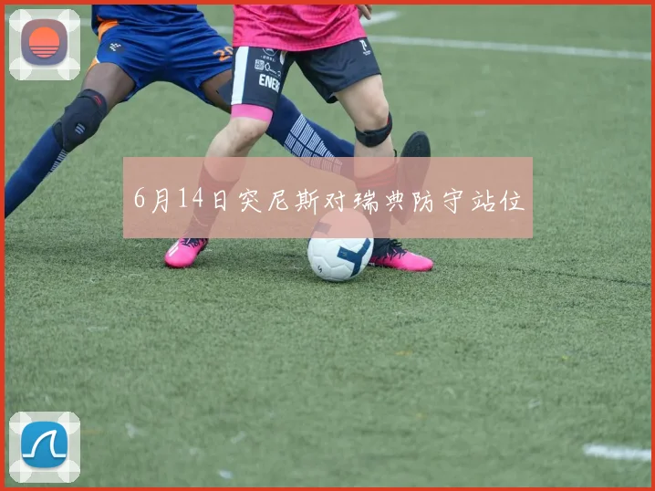 6月14日突尼斯对瑞典防守站位